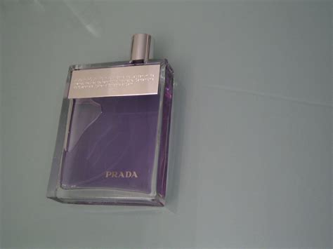 prada steve cologne